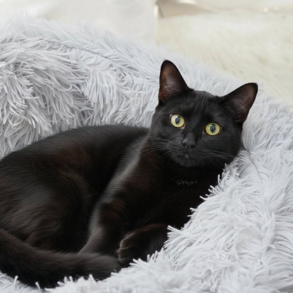 Calming Dog Beds & Cat Cave Bed with Hooded Cover,Removable Washable round Beds for Small Medium Pets,Anti-Slip Faux Fur Fluffy Coved Bed for Improved Sleep,Fits up to 11 Lbs