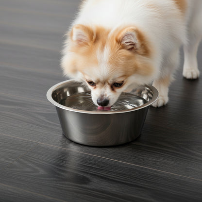 Stainless Steel Paw & Beads Imprint Dog Bowl Small