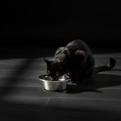 Stainless Steel Paw & Beads Imprint Dog Bowl Small