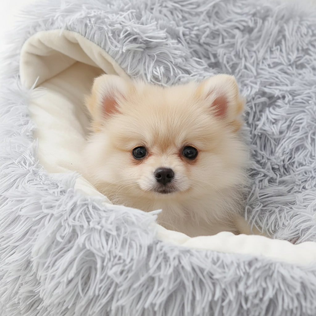 Calming Dog Beds & Cat Cave Bed with Hooded Cover,Removable Washable round Beds for Small Medium Pets,Anti-Slip Faux Fur Fluffy Coved Bed for Improved Sleep,Fits up to 11 Lbs