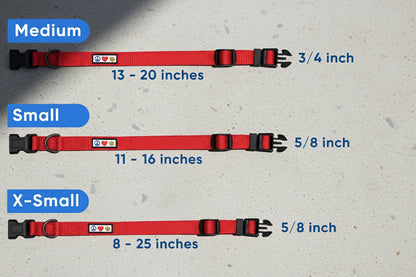 Recycled Dog Collar with Reflective Puppy Collar Small Coral